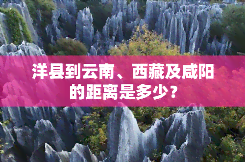 洋县到云南、     及咸阳的距离是多少？