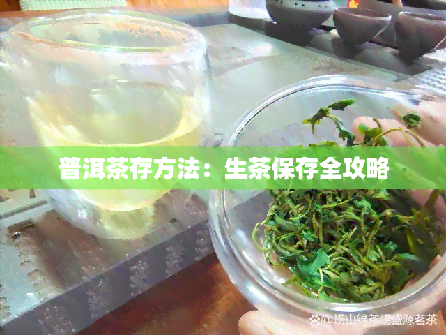 普洱茶存方法：生茶保存全攻略