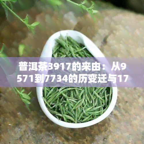 普洱茶3917的来由：从9571到7734的历变迁与1729的独特韵味，以及7321的独特魅力