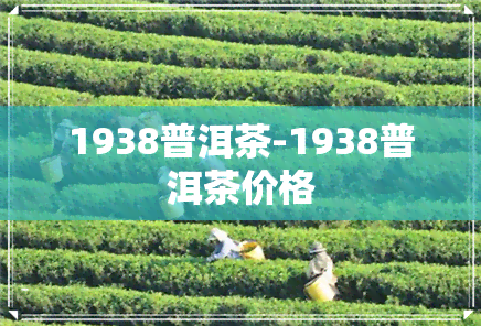 1938普洱茶-1938普洱茶价格