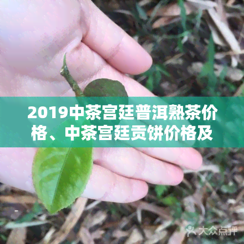 2019中茶宫廷普洱熟茶价格、中茶宫廷贡饼价格及普洱宫廷茶厂熟茶、普洱宫廷熟茶饼价格全面解析