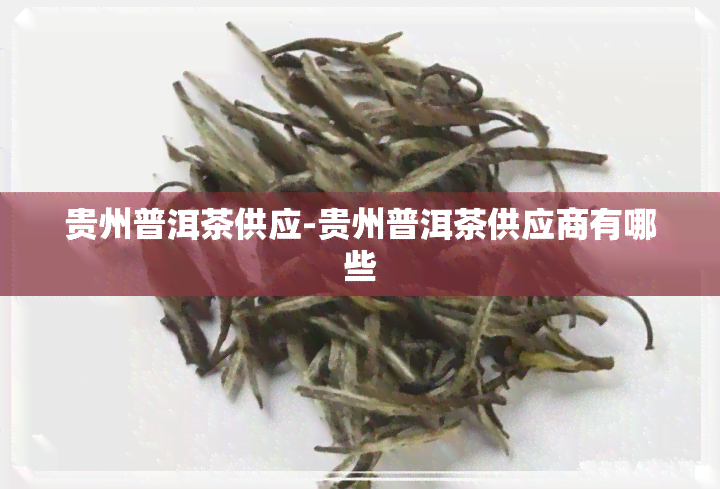 贵州普洱茶供应-贵州普洱茶供应商有哪些