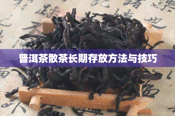 普洱茶散茶长期存放方法与技巧