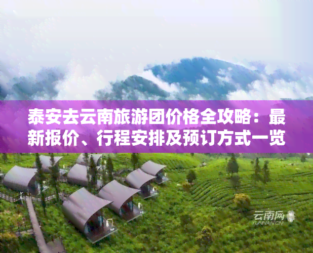 泰安去云南旅游团价格全攻略：最新报价、行程安排及预订方式一览