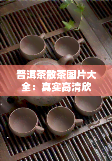 普洱茶散茶图片大全：真实高清欣