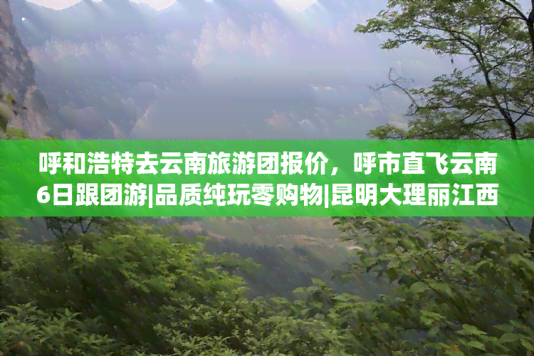 呼和浩特去云南旅游团报价，呼市直飞云南6日跟团游|品质纯玩零购物|昆明大理丽江西双版纳深度游|商务经济舱机票含接送机场接送站