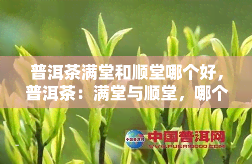 普洱茶满堂和顺堂哪个好，普洱茶：满堂与顺堂，哪个更胜一筹？