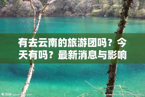 有去云南的旅游团吗？今天有吗？最新消息与影响分析