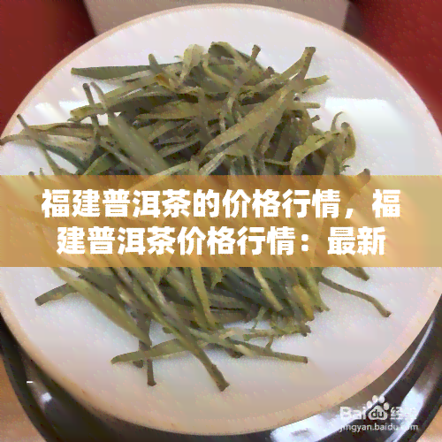 福建普洱茶的价格行情，福建普洱茶价格行情：最新市场动态与趋势分析