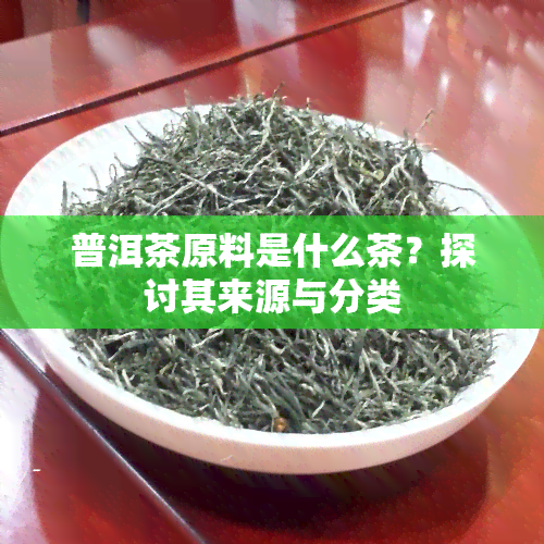 普洱茶原料是什么茶？探讨其来源与分类