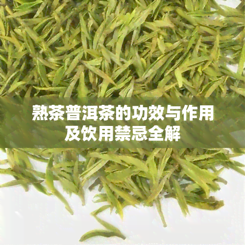 熟茶普洱茶的功效与作用及饮用禁忌全解