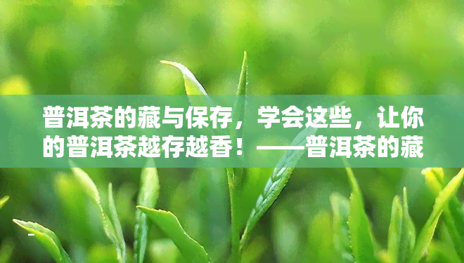 普洱茶的藏与保存，学会这些，让你的普洱茶越存越香！——普洱茶的藏与保存全攻略