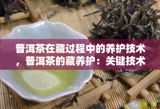 普洱茶在藏过程中的养护技术，普洱茶的藏养护：关键技术与实践