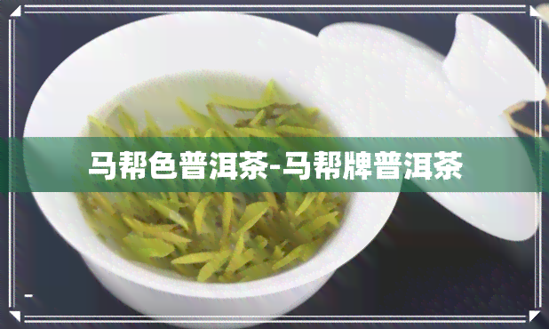 马帮色普洱茶-马帮牌普洱茶