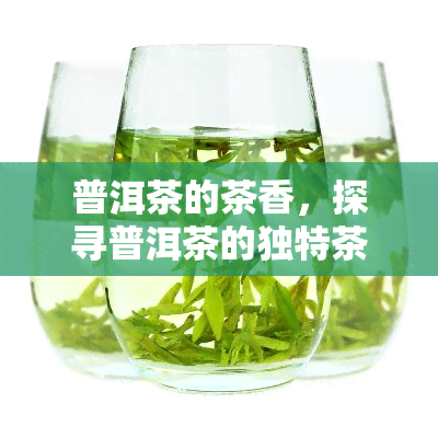 普洱茶的茶香，探寻普洱茶的独特茶香：一种深深植根于文化和历的味道