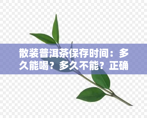 散装普洱茶保存时间：多久能喝？多久不能？正确存放方法全攻略