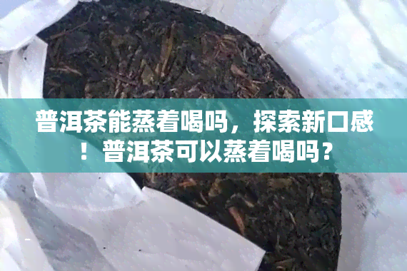 普洱茶能蒸着喝吗，探索新口感！普洱茶可以蒸着喝吗？