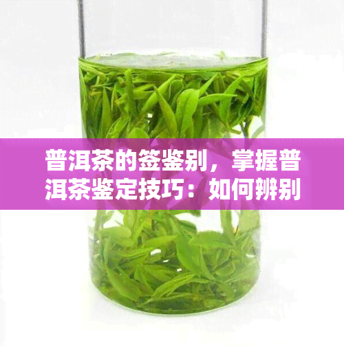 普洱茶的签鉴别，掌握普洱茶鉴定技巧：如何辨别真假普洱茶？