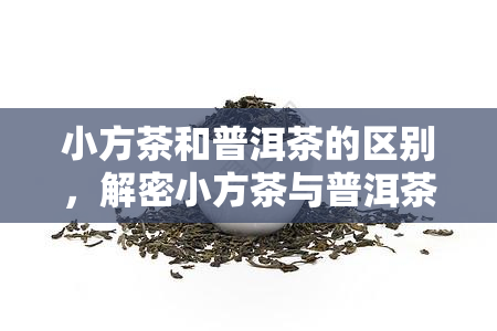 小方茶和普洱茶的区别，解密小方茶与普洱茶：一文看懂两者区别