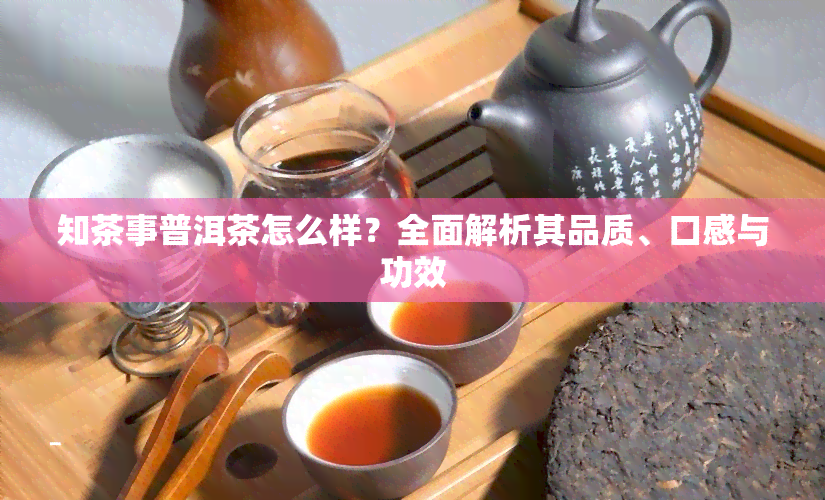 知茶事普洱茶怎么样？全面解析其品质、口感与功效