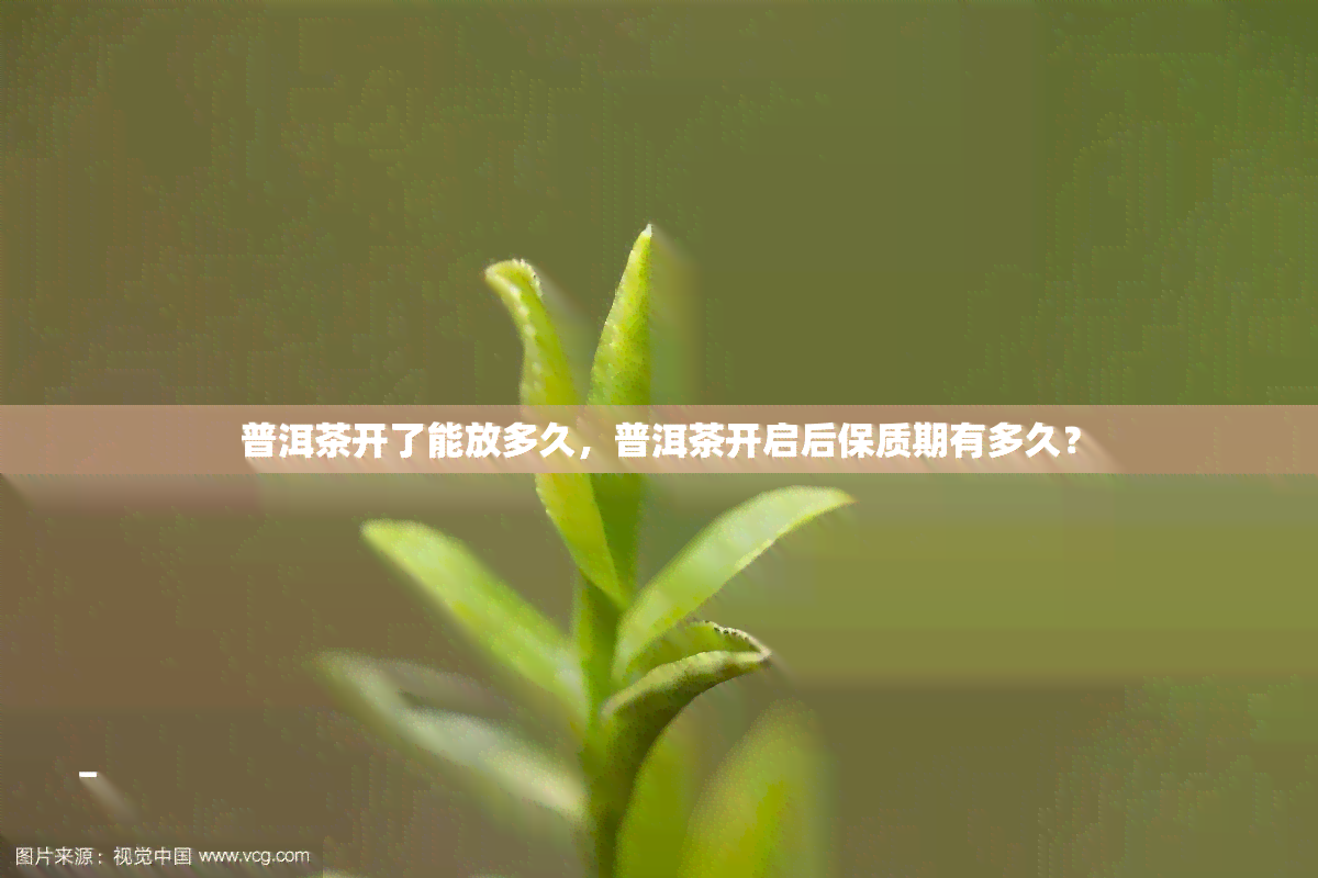 普洱茶开了能放多久，普洱茶开启后保质期有多久？