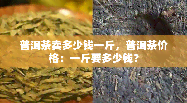 普洱茶卖多少钱一斤，普洱茶价格：一斤要多少钱？