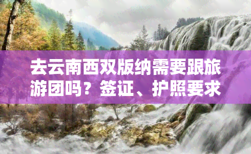 去云南西双版纳需要跟旅游团吗？签证、护照要求及费用全知道