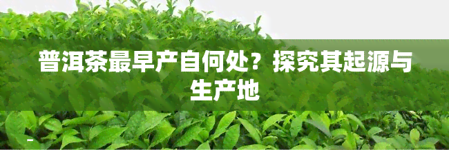 普洱茶最早产自何处？探究其起源与生产地