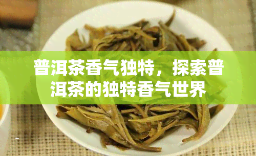 普洱茶香气独特，探索普洱茶的独特香气世界