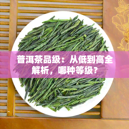 普洱茶品级：从低到高全解析，哪种等级？