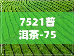 7521普洱茶-7522普洱茶