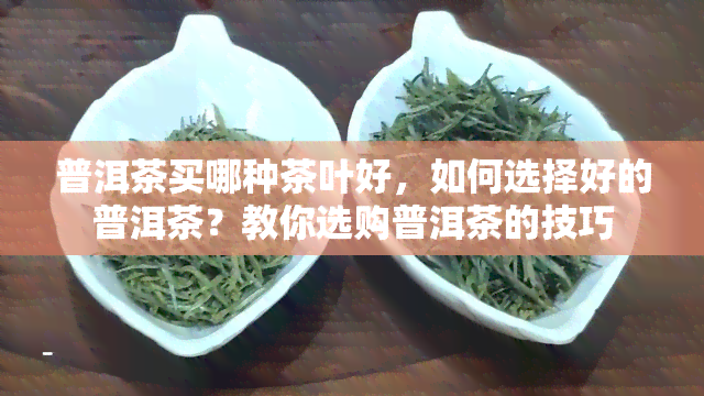 普洱茶买哪种茶叶好，如何选择好的普洱茶？教你选购普洱茶的技巧