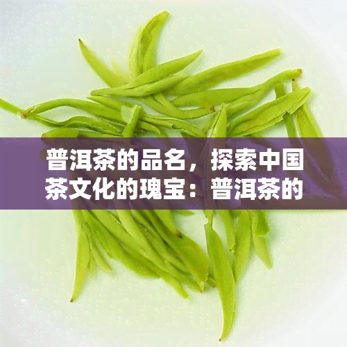 普洱茶的品名，探索中国茶文化的瑰宝：普洱茶的品名解析