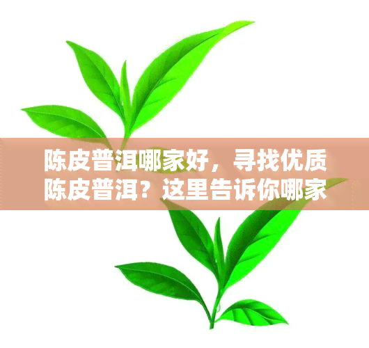 陈皮普洱哪家好，寻找优质陈皮普洱？这里告诉你哪家好！