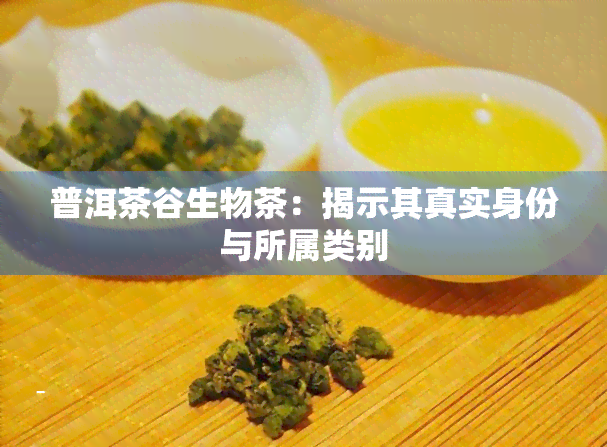 普洱茶谷生物茶：揭示其真实身份与所属类别