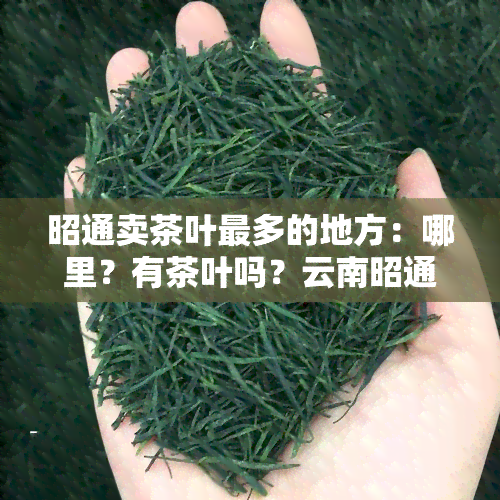 昭通卖茶叶最多的地方：哪里？有茶叶吗？云南昭通是否产茶？