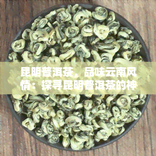 昆明普洱茶，品味云南风情：探寻昆明普洱茶的神秘魅力