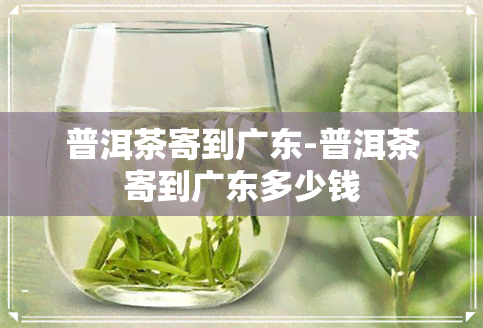 普洱茶寄到广东-普洱茶寄到广东多少钱