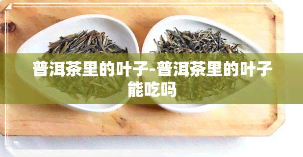 普洱茶里的叶子-普洱茶里的叶子能吃吗