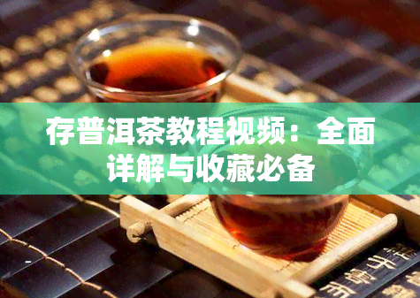 存普洱茶教程视频：全面详解与收藏必备