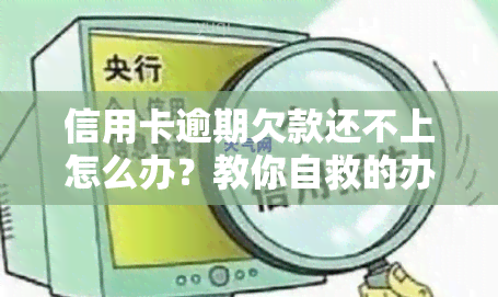 信用卡逾期欠款还不上怎么办？教你自救的办法与后果