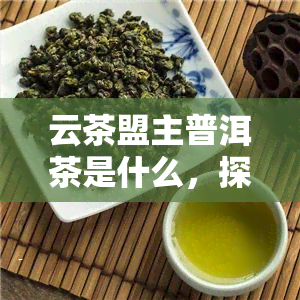 云茶盟主普洱茶是什么，探究云茶盟主普洱茶的神秘面纱