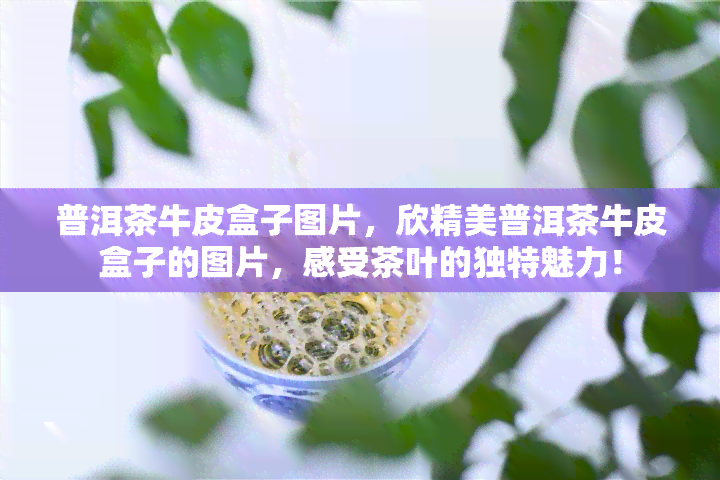 普洱茶牛皮盒子图片，欣精美普洱茶牛皮盒子的图片，感受茶叶的独特魅力！