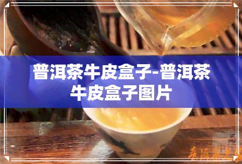 普洱茶牛皮盒子-普洱茶牛皮盒子图片