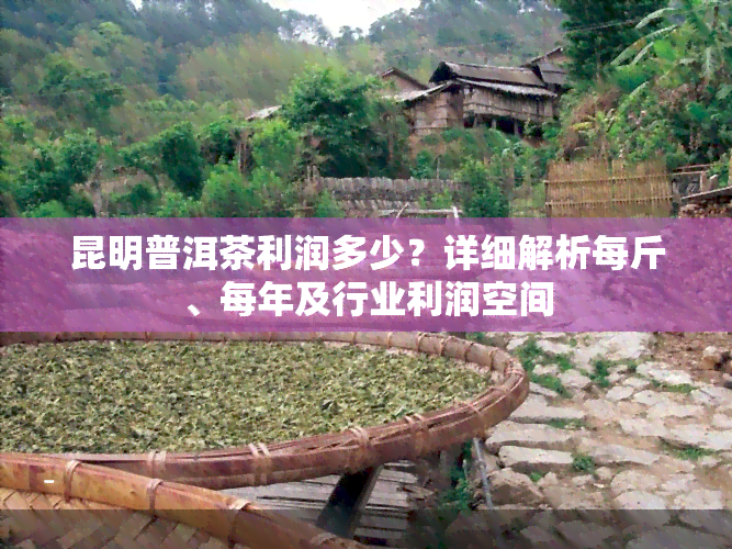 昆明普洱茶利润多少？详细解析每斤、每年及行业利润空间