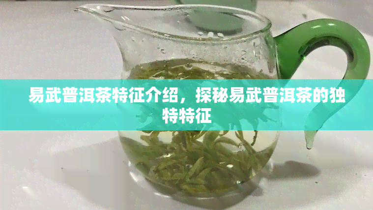 易武普洱茶特征介绍，探秘易武普洱茶的独特特征