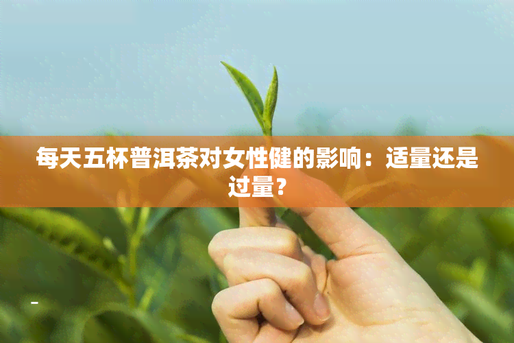 每天五杯普洱茶对女性健的影响：适量还是过量？