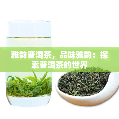 雅韵普洱茶，品味雅韵：探索普洱茶的世界