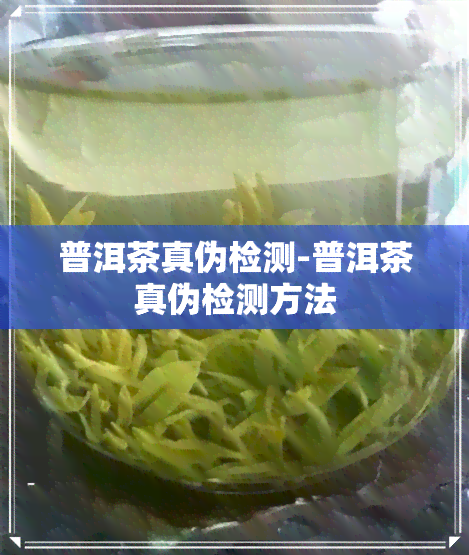 普洱茶真伪检测-普洱茶真伪检测方法