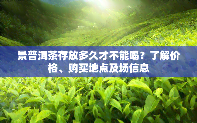 景普洱茶存放多久才不能喝？了解价格、购买地点及场信息